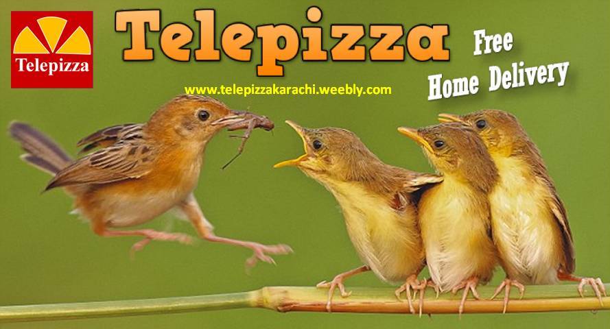 telepizza Karachi pizza delivery